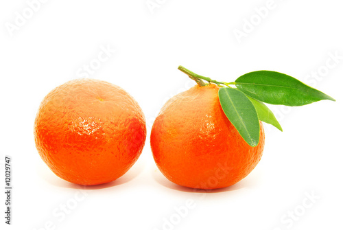 tangerine  on white