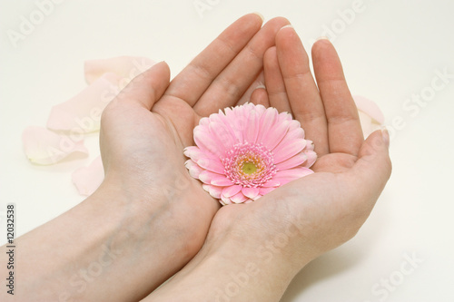 Flower in female hands
