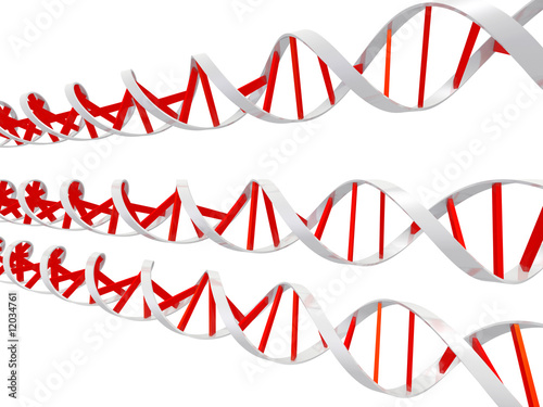 dna helixes