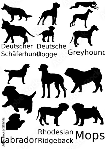 Rassehunde Silhoutten