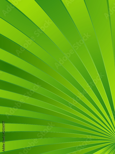 abstract green leaf