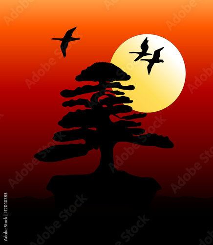 Bonsai at sunset with flying geese