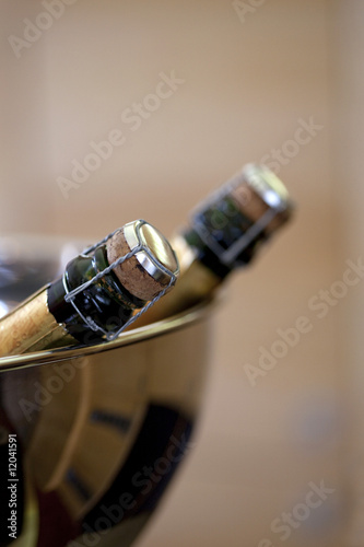Canvas Print champagne