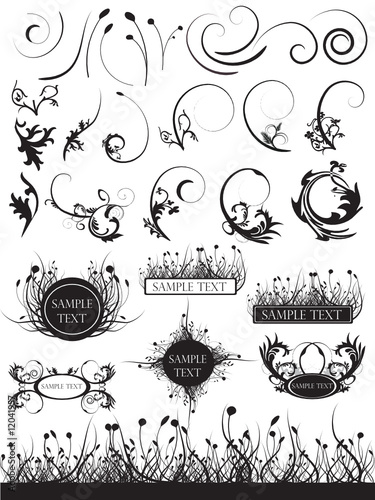 set of natural ornaments vector