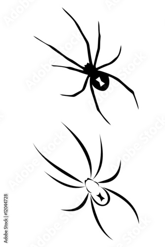 A Black widow spider tribal tattoo
