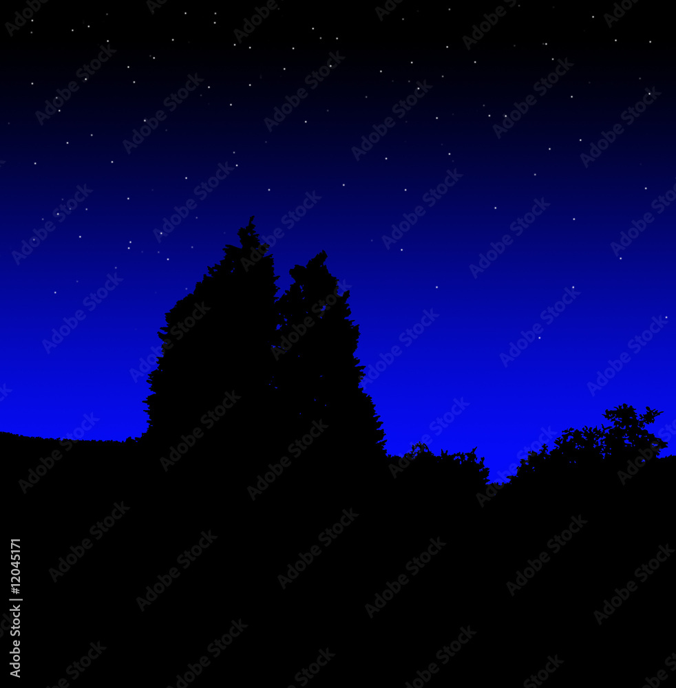 Naklejka premium Tree Silhouette At Night 5