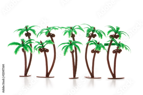 Figure of palm tree isolated on white