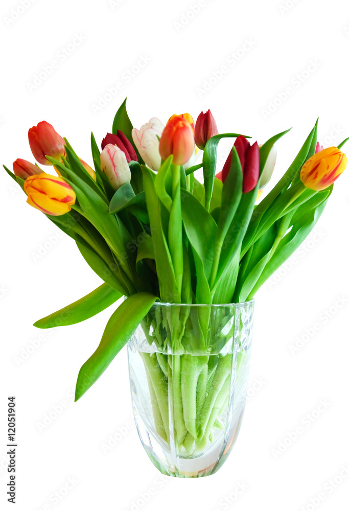 Tulips in vase isulated in white with clipping path included Tulips in vase isulated in white with clipping path included