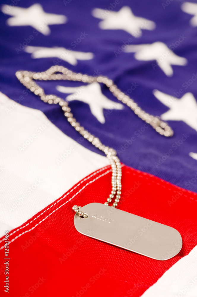 Fototapeta premium American Dog Tags
