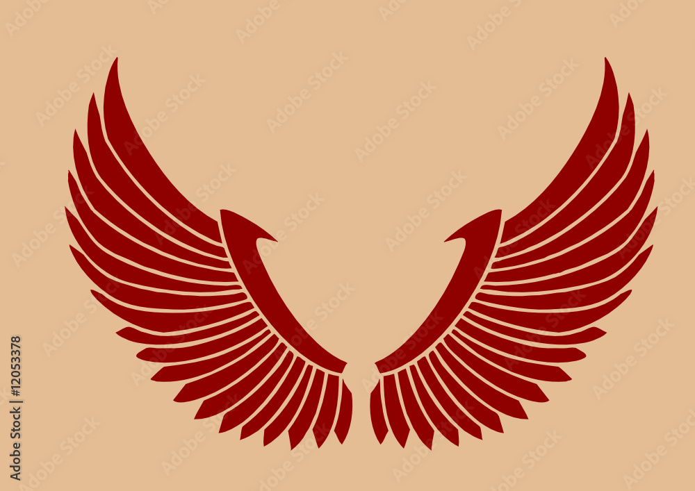 Fototapeta premium Detail Wings 03