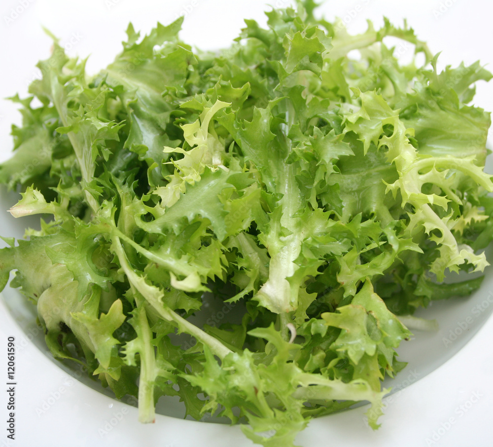 frisee Stock Photo | Adobe Stock