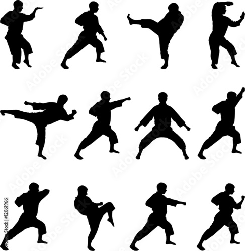 Silhouettes of positions of the karateka.