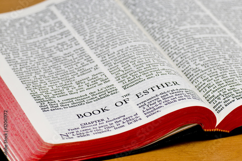Bible Page - Esther
