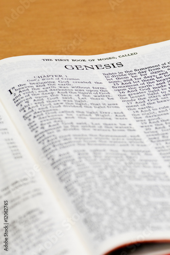 Bible Page - Genesis