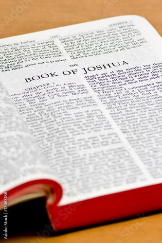Bible Page - Joshua