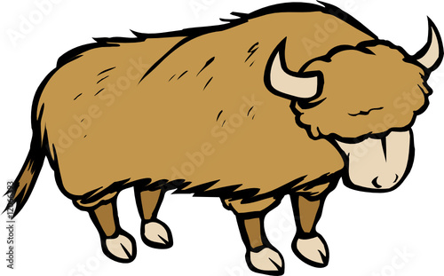 buffalo