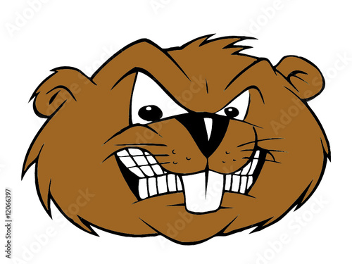 angry beaver