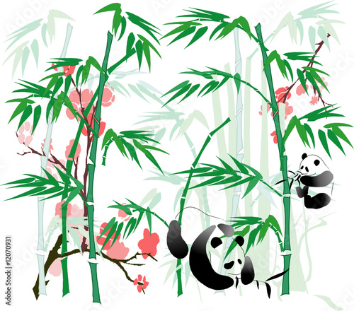 Panda and Bamboo abstract.