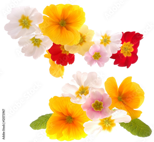 2 Blumenzusammenstellungen