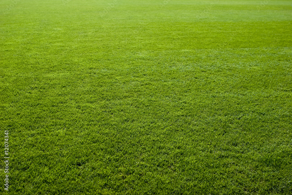 Green grass texture of a soccer field.