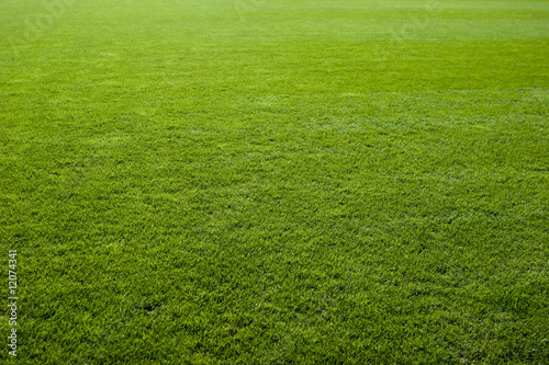 Green grass texture of a soccer field. © nexusseven