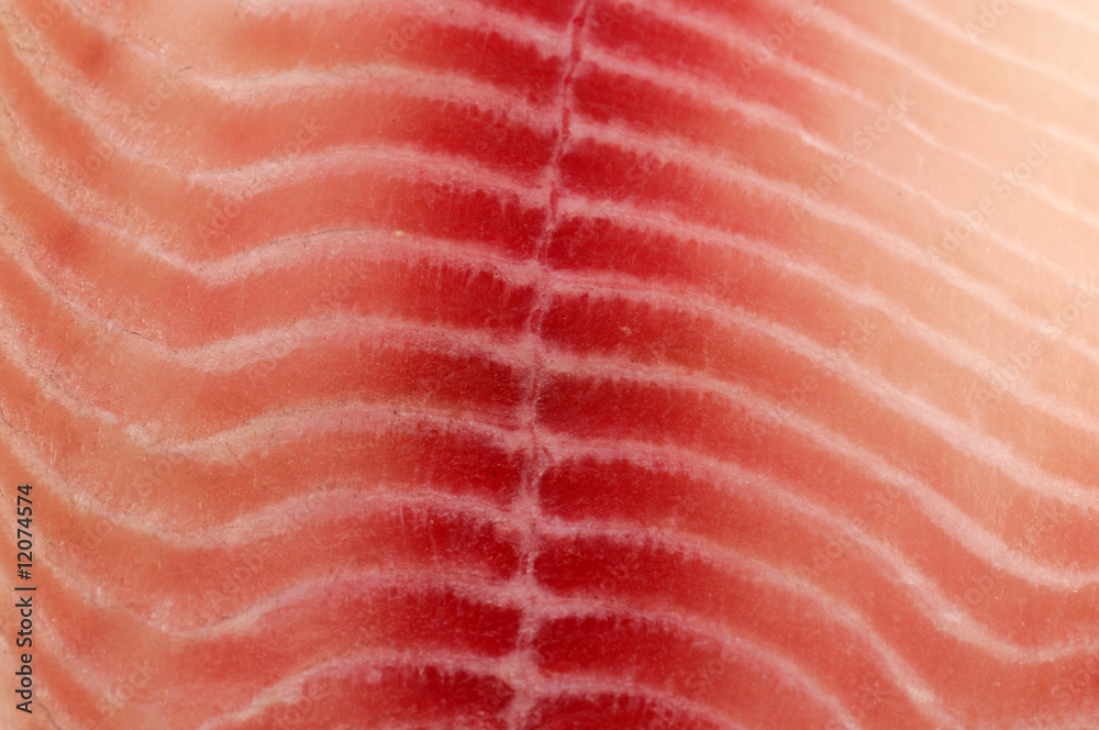 fresh fish