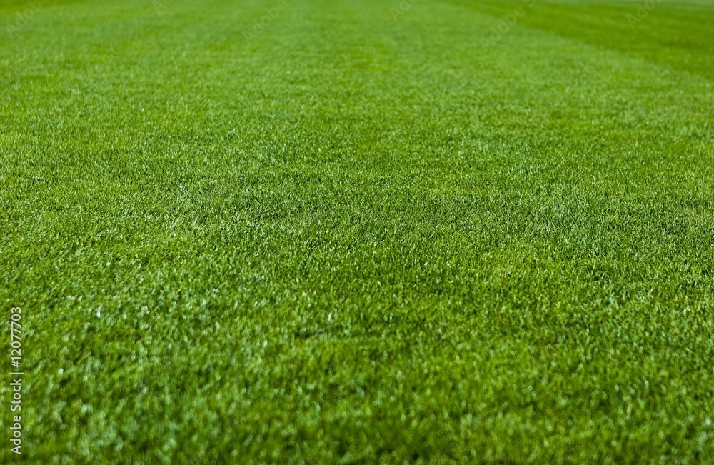 Green Grass Soccer Field