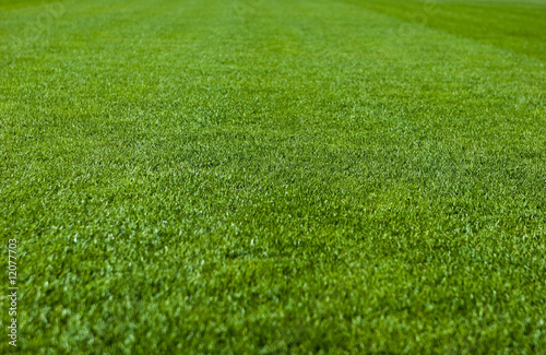 Green Grass Soccer Field