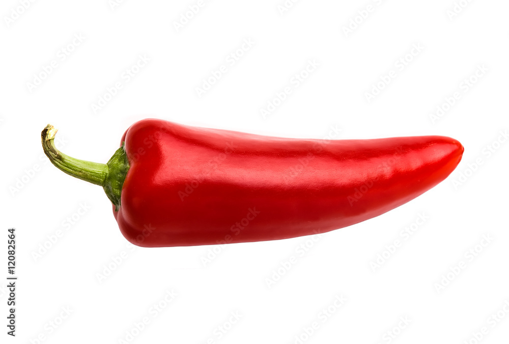 Single Red Chili Pepper on White