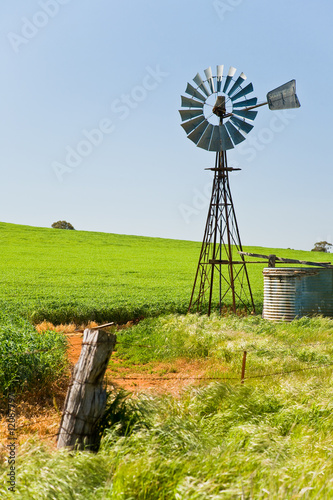Windmill in green crops Southern Australia