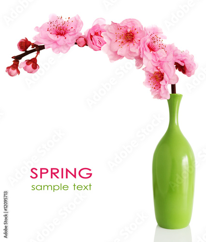 Blooming spring cherry branch in vase