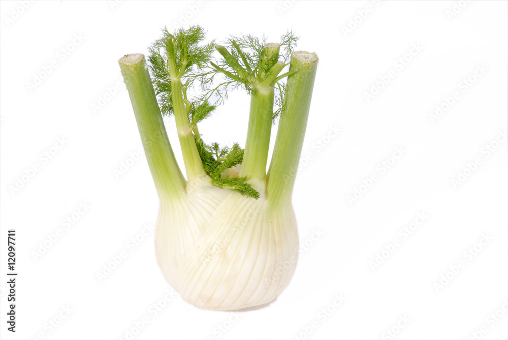 fennel, fenkuł włoski
