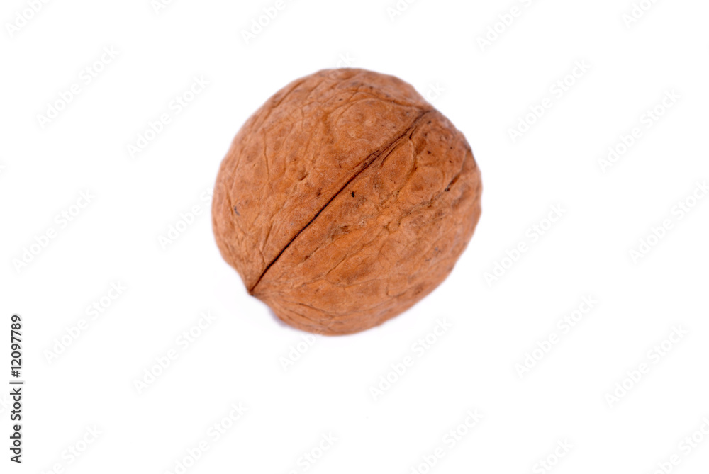 walnut, orzech włoski walnut, orzech włoski
