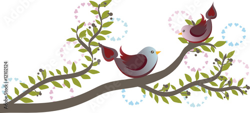 Birds