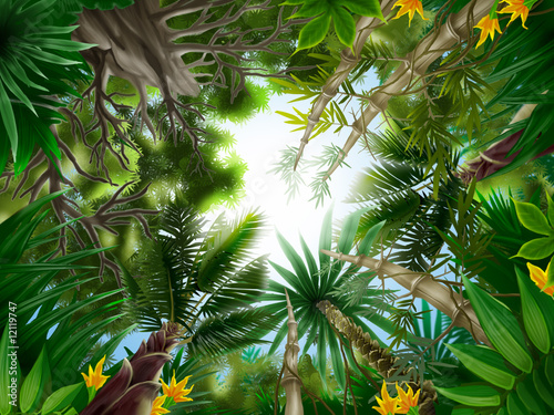 Fototapeta Naklejka Na Ścianę i Meble -  Illustration of Tropical forest