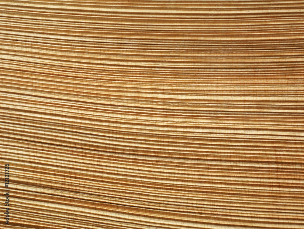 abstract pattern of palm bark abstract pattern of palm bark