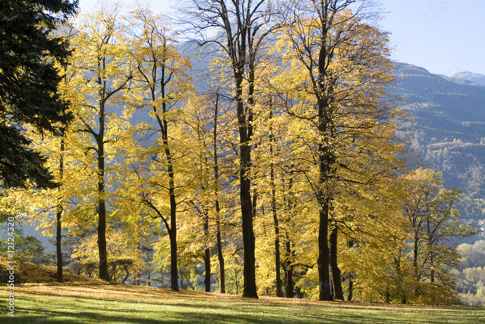 autunno paesaggio