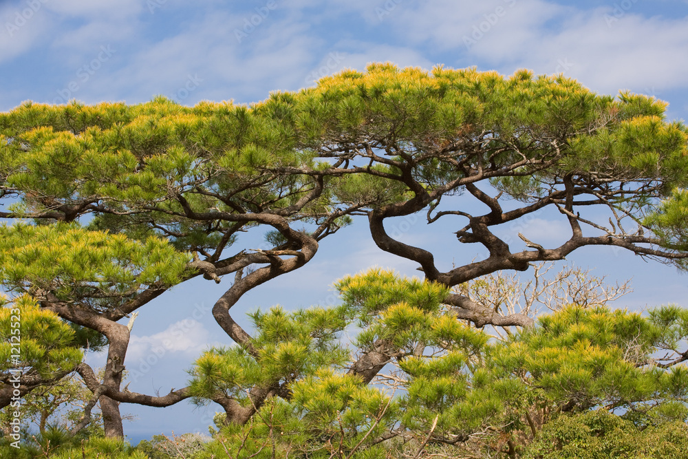 1000_F_12125523_XPEFbAfLRjxDFl