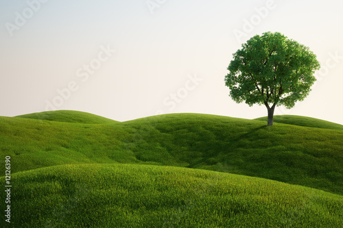 Grass field with a tree