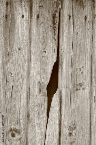 A wood texture