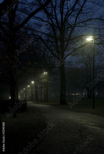 Walk at night © gemenacom