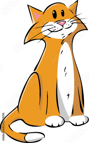 cat