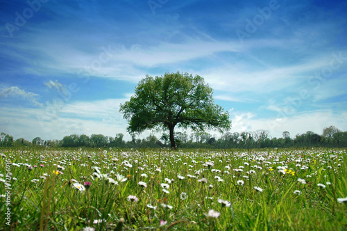 Fotografi Landscape