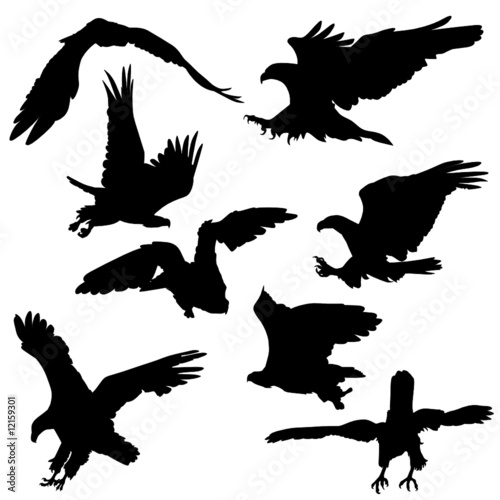 eagles shilouettes
