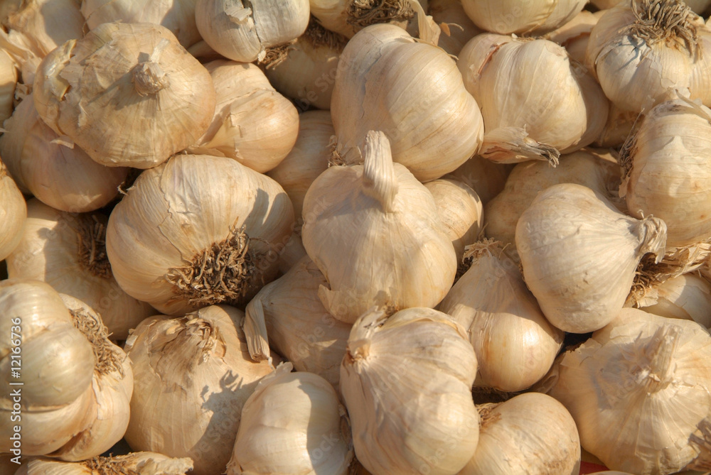 Knoblauch II Knoblauch II