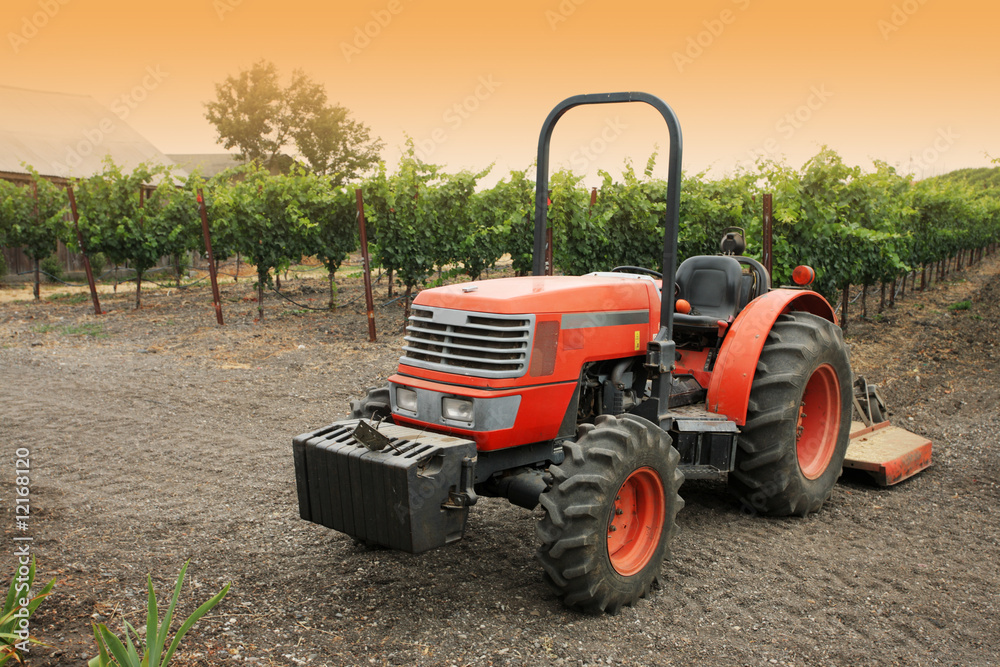 Fototapeta premium Small red tractor in vineyard