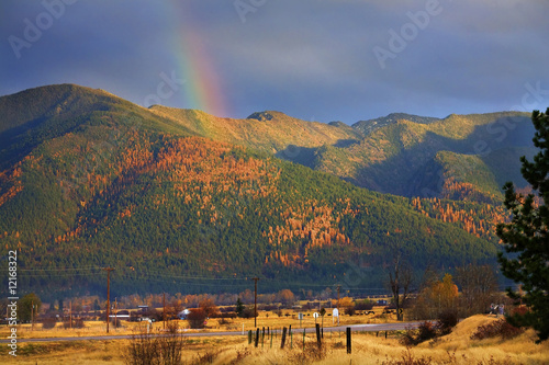 Montana Gold Rainbow Yellow Tamarack Trees in the Hills Fall Col photo