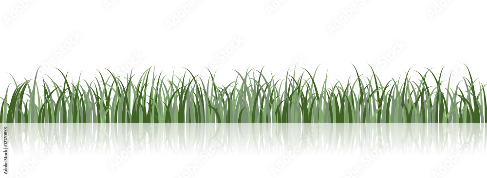 Naklejka Vector Grass Illustration