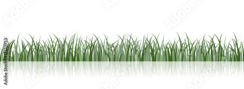 Vector Grass Illustration