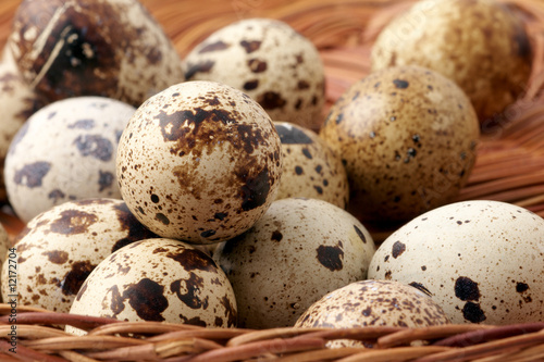 Quail eggs